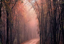 珀尔加人换帅如升班马，士气大振迎接挑战